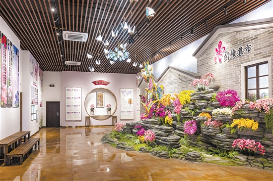 崖門鎮(zhèn)打造的“蘭蘋集市”是一個花卉展銷平臺，內(nèi)設(shè)蘭花培育種植科普室。