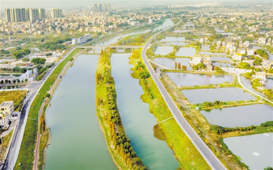 沙坪河經(jīng)過整治，變得水清岸綠景美。