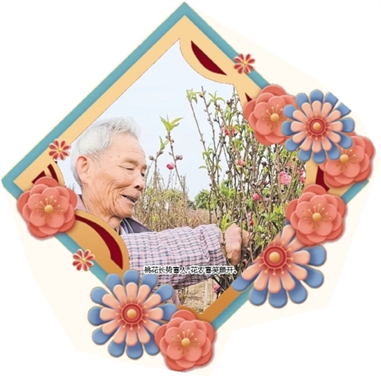 桃花長勢喜人，花農(nóng)喜笑顏開。