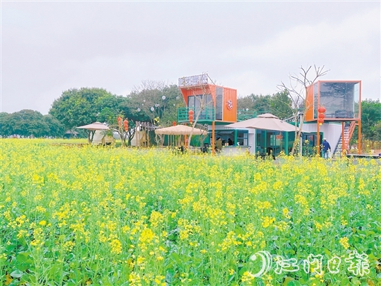 大沙鎮(zhèn)蕉園營地。