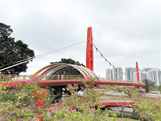 江門公園遍地開花，景色宜人。