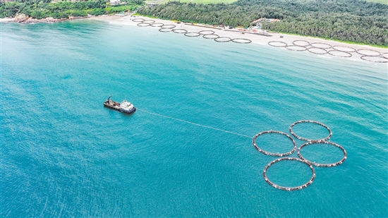 2023年臺山新成立海洋發(fā)展集團有限公司，引導海洋產(chǎn)業(yè)發(fā)展，累計下水重力式網(wǎng)箱152個，高標準建設(shè)“邑海糧倉”。