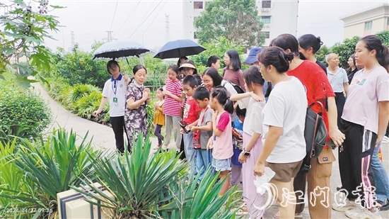市民在嶺南藥用植物園學(xué)習(xí)辨認(rèn)常用的藥用植物。