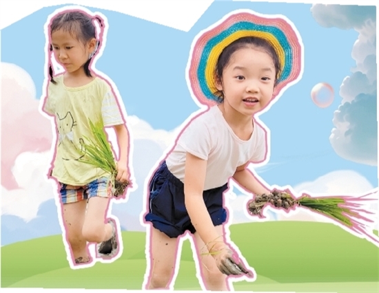 蓬江區(qū)第一幼兒園的小朋友們體驗(yàn)插秧。
