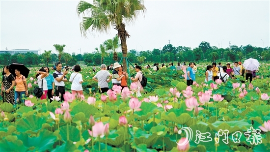 梅江農(nóng)業(yè)生態(tài)園迎來(lái)大批市民游客前來(lái)打卡。