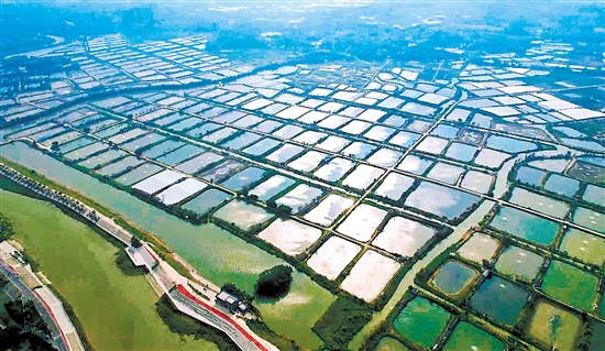 古勞鎮(zhèn)大埠村將以強(qiáng)經(jīng)濟(jì)、促和美、惠民生為主攻方向，以打造“廣東省休閑農(nóng)業(yè)與鄉(xiāng)村旅游示范點(diǎn)”為目標(biāo)，以推進(jìn)中鐵文旅·田園綜合體、美麗漁場(chǎng)、光伏發(fā)電、“云龍競(jìng)渡”綜合觀光樓等項(xiàng)目為抓手，促進(jìn)農(nóng)文康旅融合高質(zhì)量發(fā)展。古勞鎮(zhèn)供圖