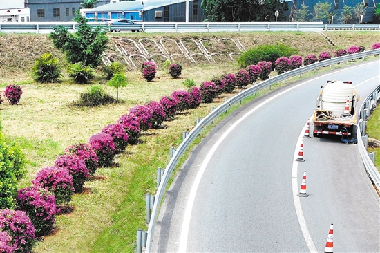 開(kāi)陽(yáng)高速公路形成一條路中有景、景中有路的綠美交通廊道。