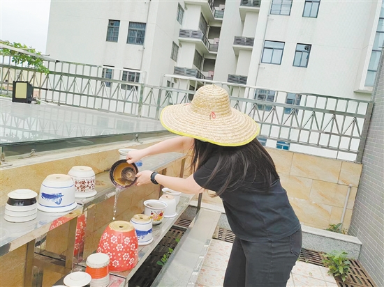 市民清理閑置積水容器，防止蚊蟲孳生。