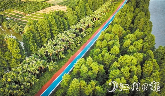 江海區(qū)鄉(xiāng)村綠廊碧帶串聯(lián)多個公園和自然景觀區(qū)，成為市民休閑娛樂的好去處。