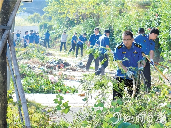 區(qū)城市管理綜合執(zhí)法局在豐樂路省實(shí)江門學(xué)校東門段開展雜草清理工作。