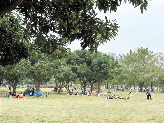 天氣晴好，不少市民到公園草坪露營野餐。