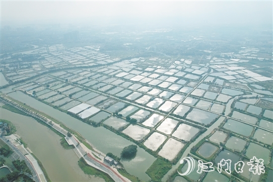 科技特派員助力古勞鎮(zhèn)大力發(fā)展特色漁業(yè)養(yǎng)殖，加快建設(shè)“省級示范性美麗漁場”。