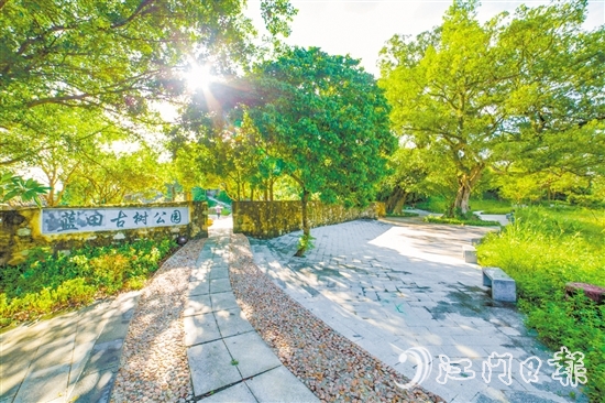 藍(lán)田古樹公園。