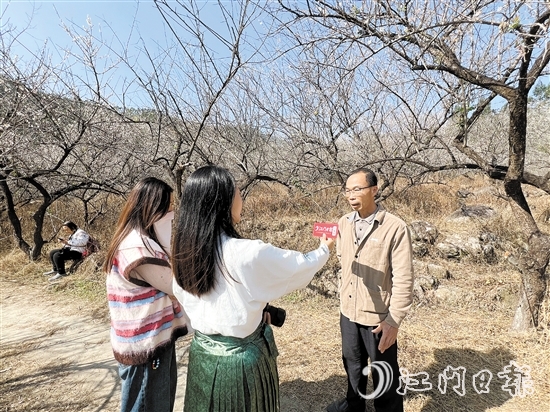 黎松德介紹今年梅花開(kāi)放情況。