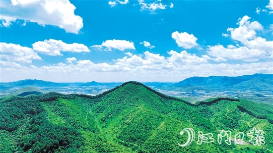 鶴山市現(xiàn)有林地面積54333.33公頃（81.5萬畝），2024年5月，鶴山市被選為廣東唯一、全國(guó)21個(gè)開展林權(quán)登記試點(diǎn)工作的縣（市、區(qū)）之一。