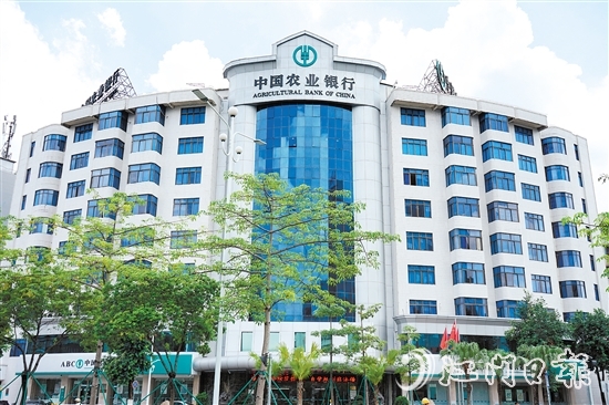 農(nóng)業(yè)銀行江門分行以細(xì)膩入微的筆觸寫好金融“五篇大文章”。