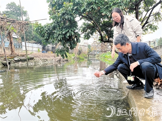 新會區(qū)紀(jì)檢監(jiān)察干部到雙水鎮(zhèn)北水村回訪，查看水質(zhì)變化。