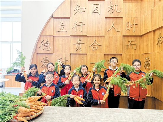 江海區(qū)景賢小學寒假志趣作業(yè)獲獎學生收到了該校學生親手栽種的胡蘿卜。