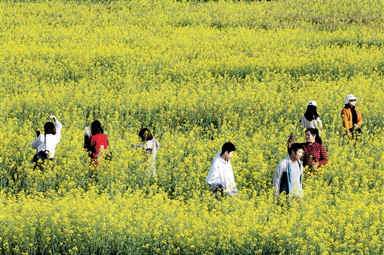 都市農業(yè)生態(tài)園一年四季都游人如織。