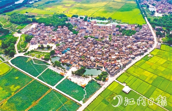 恩平市深入開展綠美生態(tài)建設(shè)，人居環(huán)境持續(xù)提升。