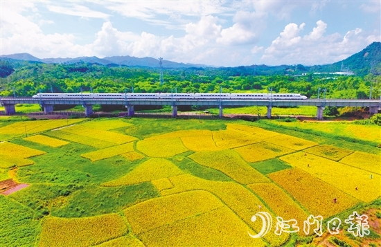恩平市不斷完善交通網(wǎng)絡(luò)，推進(jìn)深度融灣。圖為江湛鐵路經(jīng)過恩平。