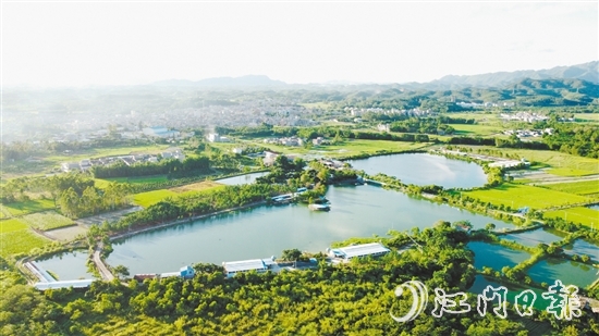 橫東村特色農(nóng)業(yè)發(fā)展勢(shì)頭較好。