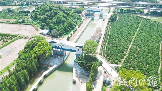 江新聯(lián)圍睦洲樞紐除險加固工程已基本完工，實現(xiàn)華麗變身，更好地發(fā)揮自身水利功能。
