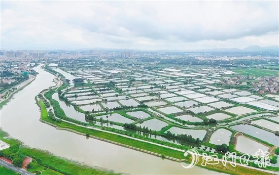 古勞鎮(zhèn)發(fā)動(dòng)魚塘養(yǎng)殖戶開展魚塘清淤，推動(dòng)魚塘養(yǎng)殖增產(chǎn)增收。