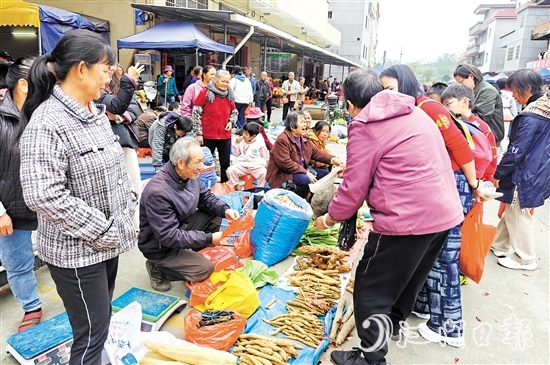 農(nóng)戶將自家種的土特產(chǎn)拿到圩市售賣。