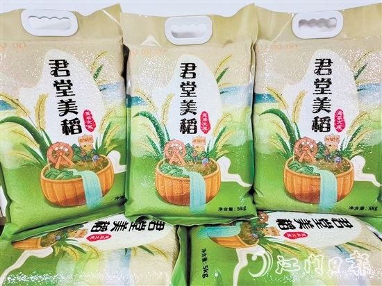 黎塘村以恩平市君江農(nóng)墾投資開(kāi)發(fā)有限公司為平臺(tái)打造“君堂美稻”品牌。