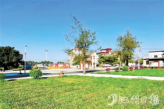 赤溪鎮(zhèn)長安村掀起新一輪植綠熱潮，擦亮“百千萬工程”典型村的綠美發(fā)展底色。