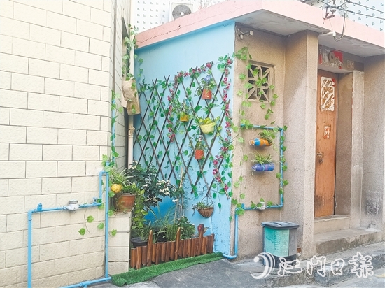 家門(mén)口的立體小花園為禾岡村注入生機(jī)與活力。