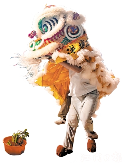 花炮會上，醒獅采青表演十分精彩。