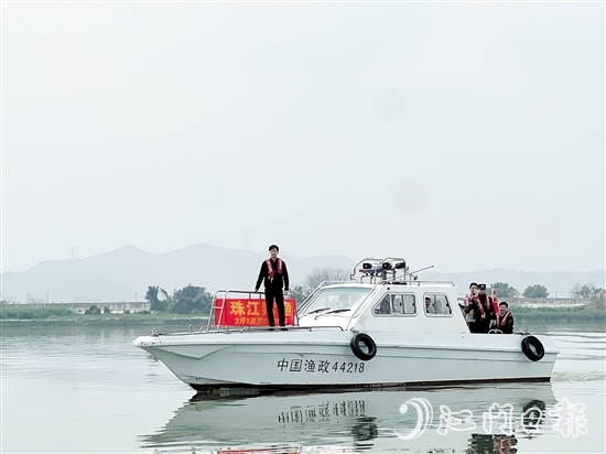 執(zhí)法人員在西江支流新會段進(jìn)行巡查。