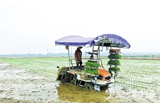 沖蔞鎮(zhèn)推進農(nóng)業(yè)機械化，為春耕生產(chǎn)提供有力保障。