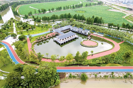 江海區(qū)禮樂河水利風(fēng)景區(qū)。
