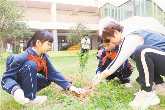 江門一中附屬小學師生攜手添綠。
