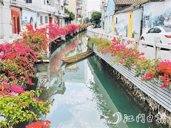 外海街道直沖村一河兩岸花團(tuán)錦簇，美景如畫。