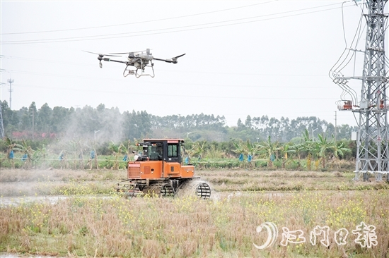 無(wú)人機(jī)、水旱耕作機(jī)協(xié)作開(kāi)展春耕生產(chǎn)。