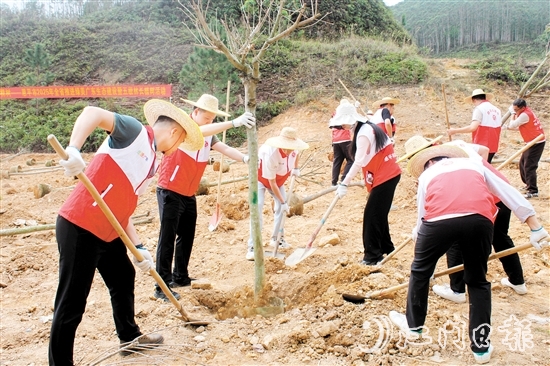 在植樹(shù)活動(dòng)中，大家揮鍬培土，干勁十足，為恩平增添綠意，為全運(yùn)會(huì)舉辦貢獻(xiàn)自己的力量。