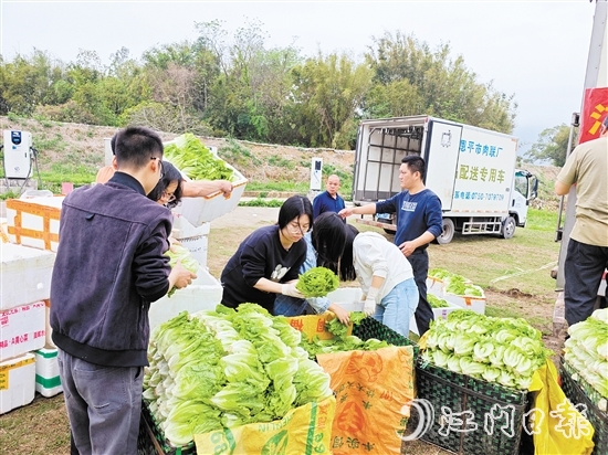 “恩平菜”在米倉村現(xiàn)場發(fā)貨，新鮮到達五邑各地市民餐桌。