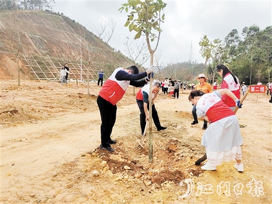 黨員干部積極參與植樹活動。