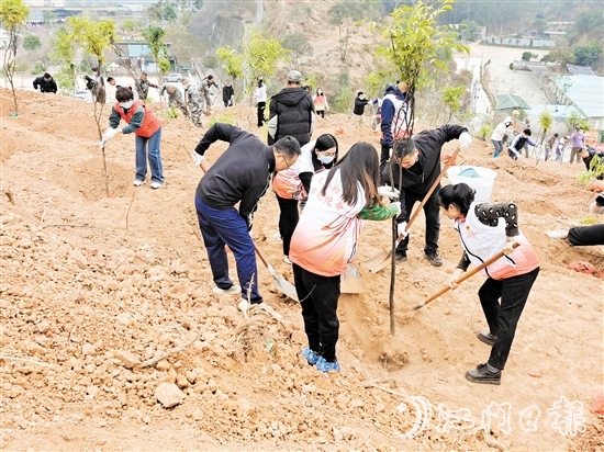 2025年蓬江區(qū)鄉(xiāng)村綠化主題植樹(shù)活動(dòng)在五洞村舉行，黨員群眾攜手種下一棵棵樹(shù)苗。