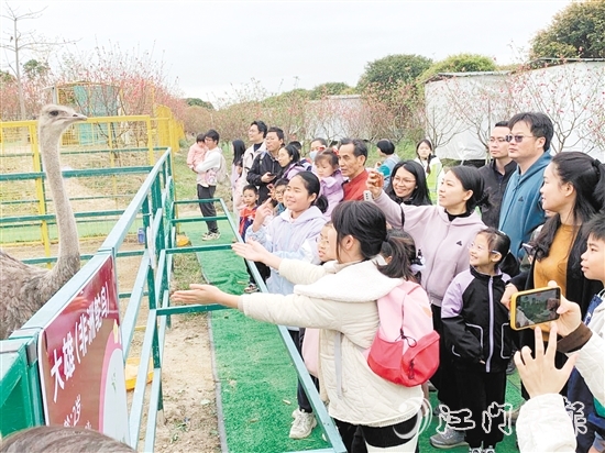 孩子們近距離觀察各類鳥禽。