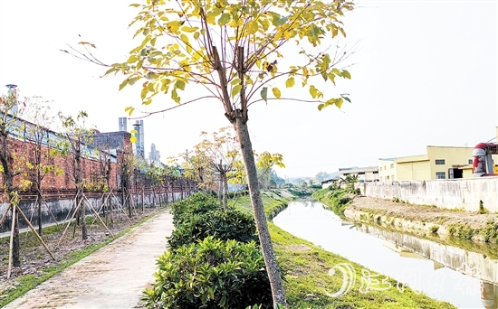 新橋水流域經(jīng)過治理后，環(huán)境大大改善。