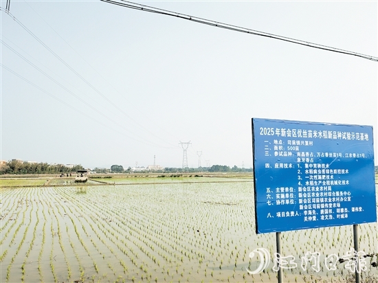 興篁村建成標準農(nóng)田，為糧食高產(chǎn)、穩(wěn)產(chǎn)、均衡增產(chǎn)奠定基礎。