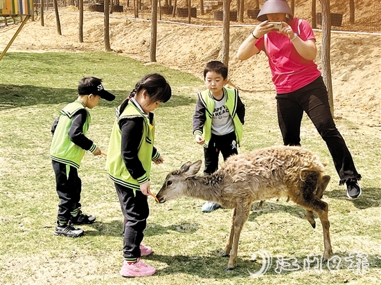 在江門(mén)市七顆星農(nóng)業(yè)生態(tài)園，小朋友們與動(dòng)物互動(dòng)。