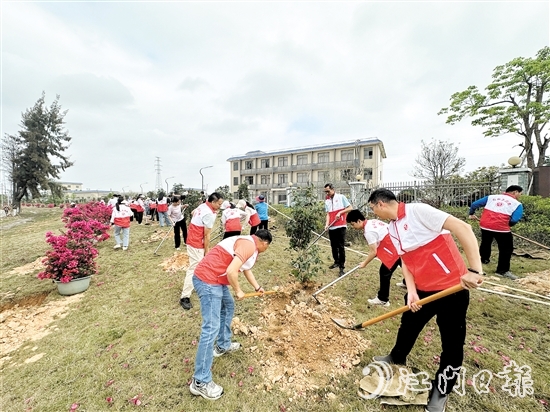 今年春天，水步鎮(zhèn)已先后開展30余場植樹活動，累計超1300名黨員干部群眾參與。