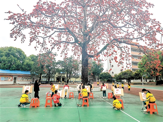 古井小學國畫社團組織學生在校園木棉樹下畫木棉花。