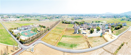 鷹村田園綜合體項目建設(shè)順利推進。